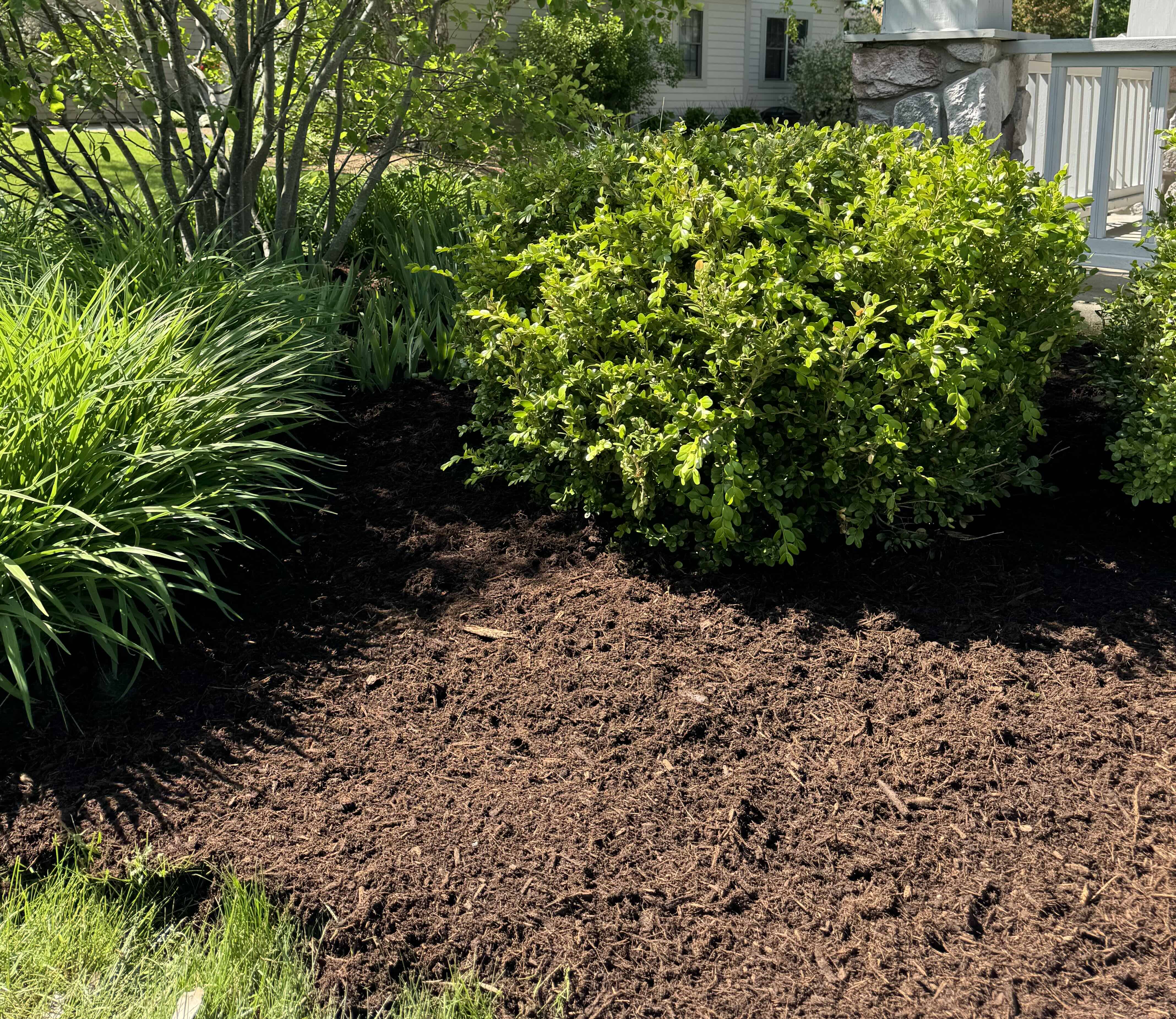 Mulch Installation