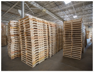 Large Inventory of Wooden Pallets and Crates